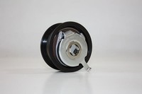 Automega Spannrolle, Zahnriemen U.A. FüR Audi, Bmw, CitroËN, Ferrari, Fiat