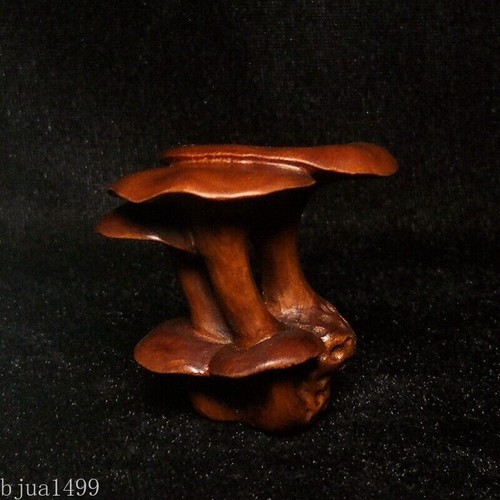 H 5 CM China Buchsbaum handgeschnitzt Pilz Figur hübsche Dekoration Netsuke Geschenk - Bild 10 von 17
