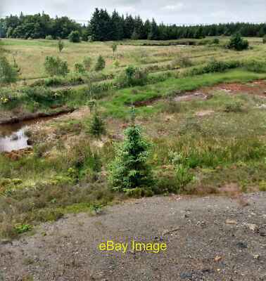 Foto 6x4 Fläche Sumpf und Teiche Fauldhouse Die zwei Gleise schneiden quer um 2021