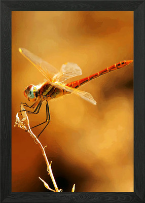 Libelle Nr. 1 gerahmtes Wandbild Poster Leinwanddruck Bild