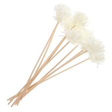 10 Pcs Diffuseur De Parfum D'ambiance Bâtons Diffuseurs D'huiles Essentielles