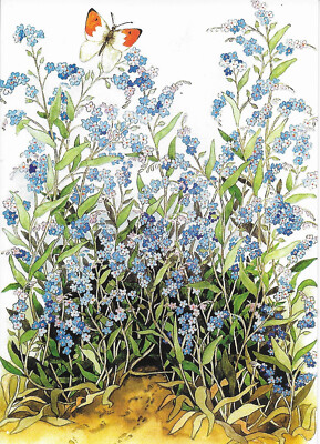 INGE LÖÖK / SCHMETTERLING AUF BLÜMCHEN / POSTKARTE POSTCARD POSTCROSSING  / 107