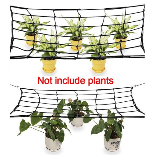 5 Size Elastic Scrog Trellis Net with 6 Hook Plant Support Netting for Grow Tent - Picture 5 of 19