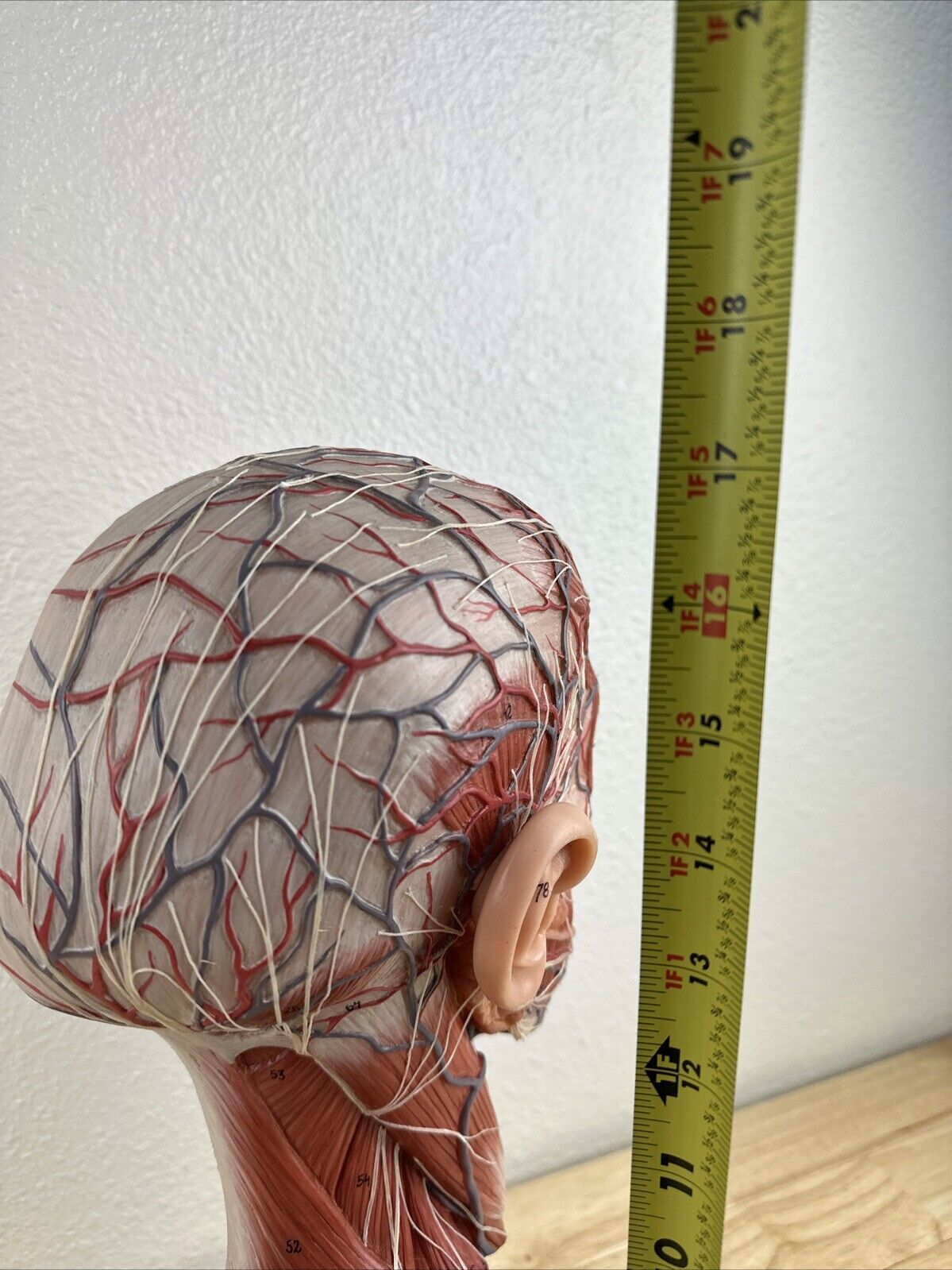 Bild 12 von 14