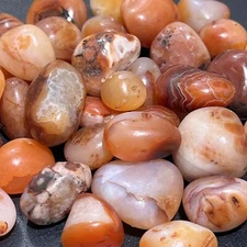 Carnelian Red Agate Tumbled (1 Kilo)(2.2 LBs) Bulk Wholesale Lot Polished
