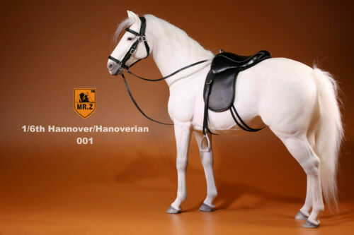 Figura MrZ 1/6 Alemania Hannover Caballo Hannover Animal Modelo Escala 12" EN STOCK - Imagen 18 de 46