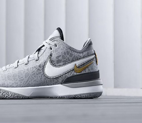 Nike Zoom LeBron NXXT Gen 'Wolf Grey Metallic Gold' Sneaker