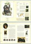 Chimpanzee #34 Mammals - The Illustrated Animal Library Fold-out Page & Print