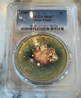 2000 PCGS MS 67 Green Bullseye Monster Toned American Silver Eagle No Reserve
