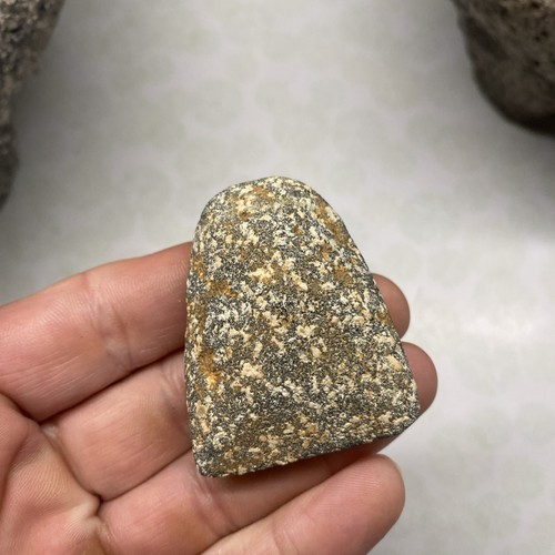 MLC s8381 Neolithic Stone Celt Arrowhead Sahara Desert Birdpoint Africa Artifact