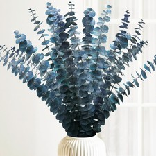 Preserved-Dried-Eucalyptus-Stems,16-17" Natural Blue-Green 16Pcs, Blue-green