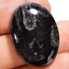 Natural Black Fossil Coral Oval Cabochon Drilled Gemstone 28 Ct 24X17X6mm A24100