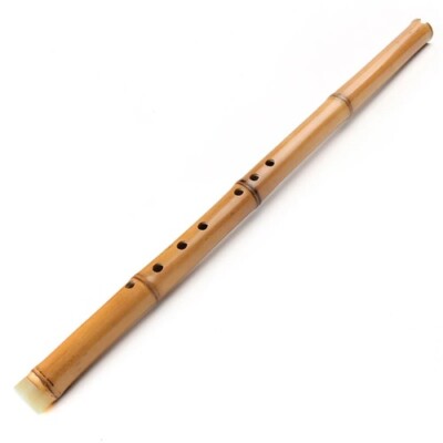 Chinese Bamboo Flute HandmadeVertical G Key short Dong Xiao Woodwind Traditional