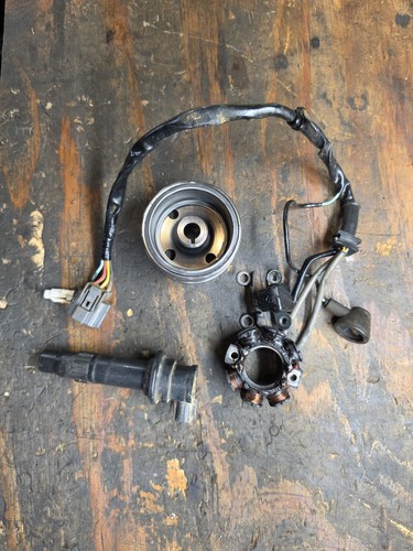 2009-2010 Kawasaki KX250F Stator Magneto Generator Flywheel Assembly 21003-0091 