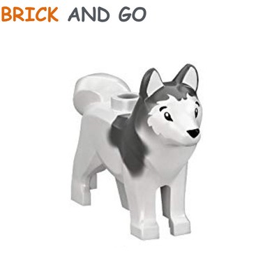 how can i get my cat neutered for free