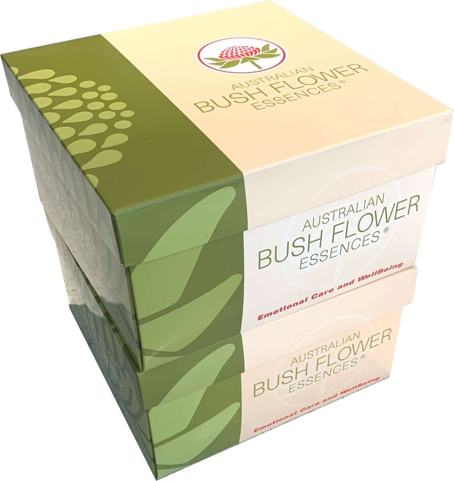Australian Bush Flower Essences Insight Cards Best Flower Site