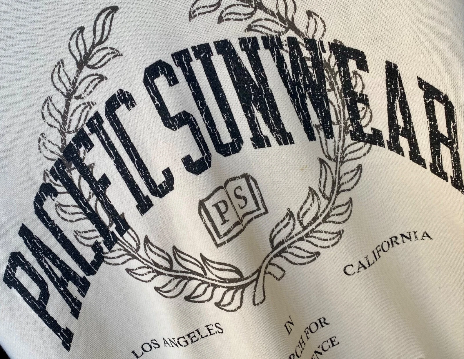 OFF WHITE XCLNT! Felpa con cappuccio pullover Pacific Sunwear Arch logo bianco sporco e marino!