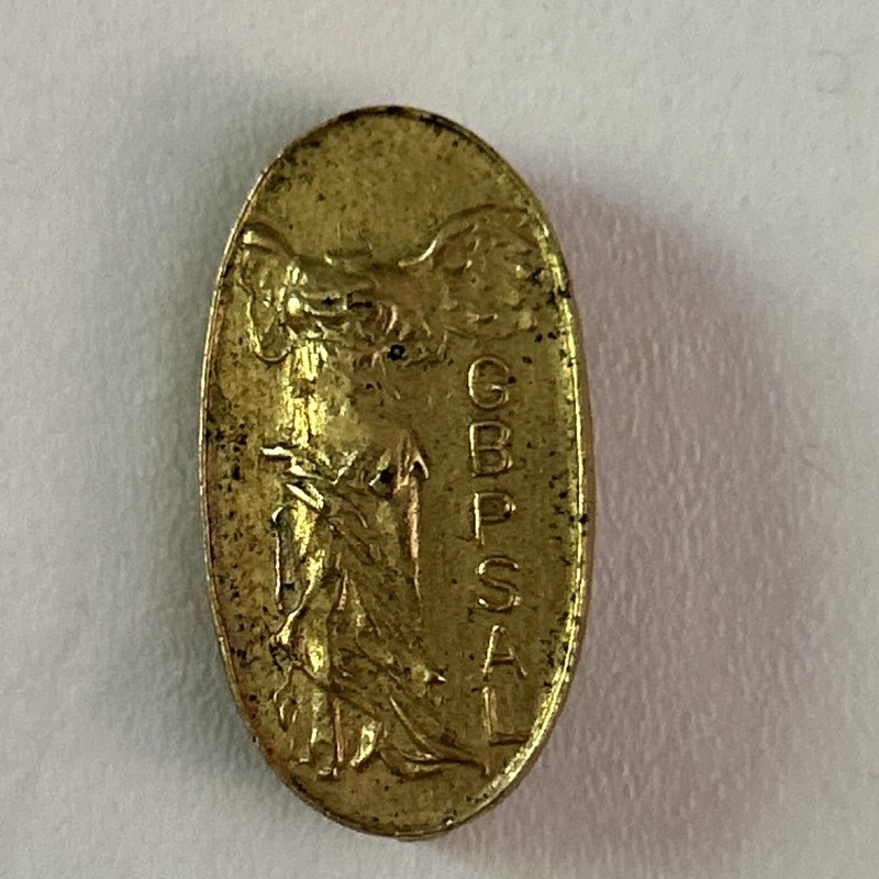 GBPSAL Girls Branch Public School Athletic League Pin Winged Nike