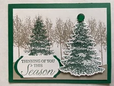 Winter woods Christmas green card kit of 10 made w/ Stampin' Up 