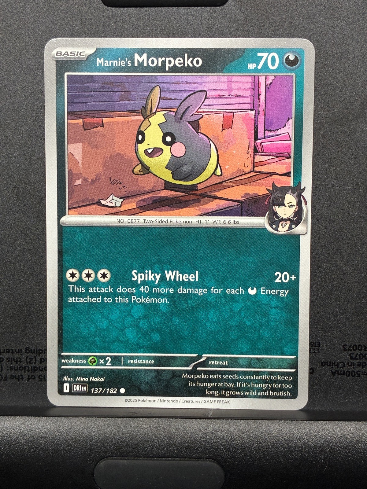 Marnie's Morpeko 137/182 Common Destined Rivals Pokemon Near Mint