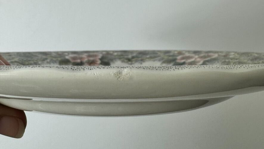 Churchill Thanksgiving Dinner Plates Set of 2 Colorful Myott Factory Archive 10"