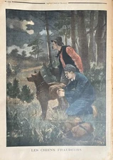 Small Newspaper 1902 No. 602 IN Aid of The Martinique - All Dogs Fraudsters