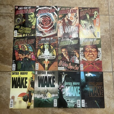 Vertigo Image Boom Comic lot Of 22 ( Brother Lond, The Wake, Sinergy, Fabies Etc