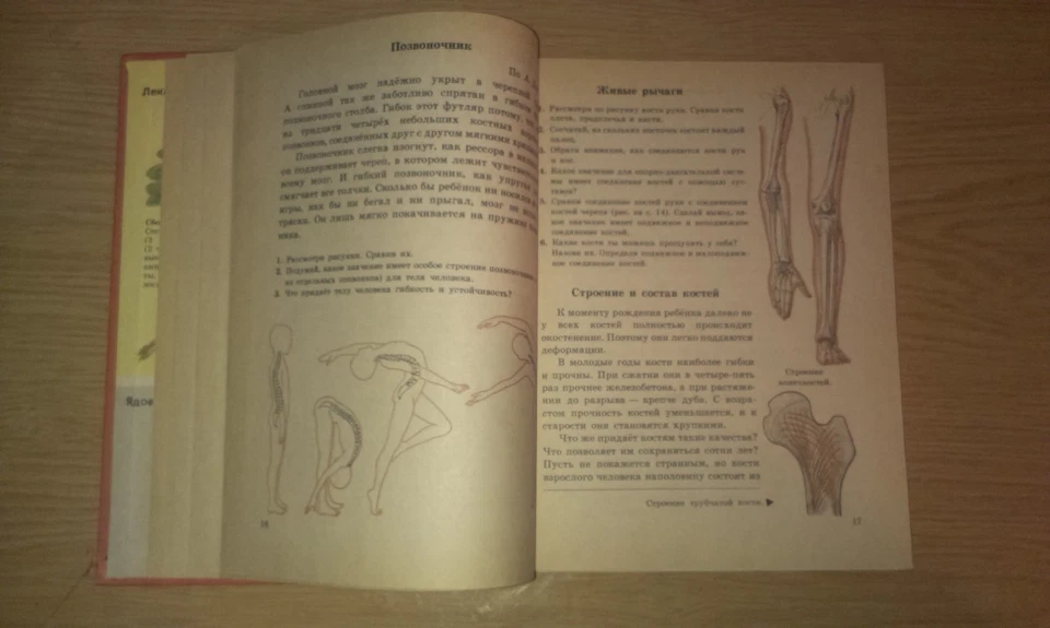 Естествознание 3 пробный учебник 1994 Russian Natural History Yestestvoznaniye - Image 4 of 4