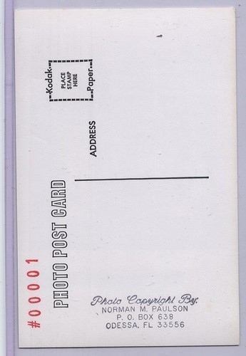1960er Paulson ältere Postkarte #0001 Roger Maris fast neuwertig - Bild 2 von 2