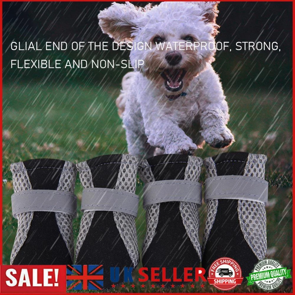 Puppy sneakers sale