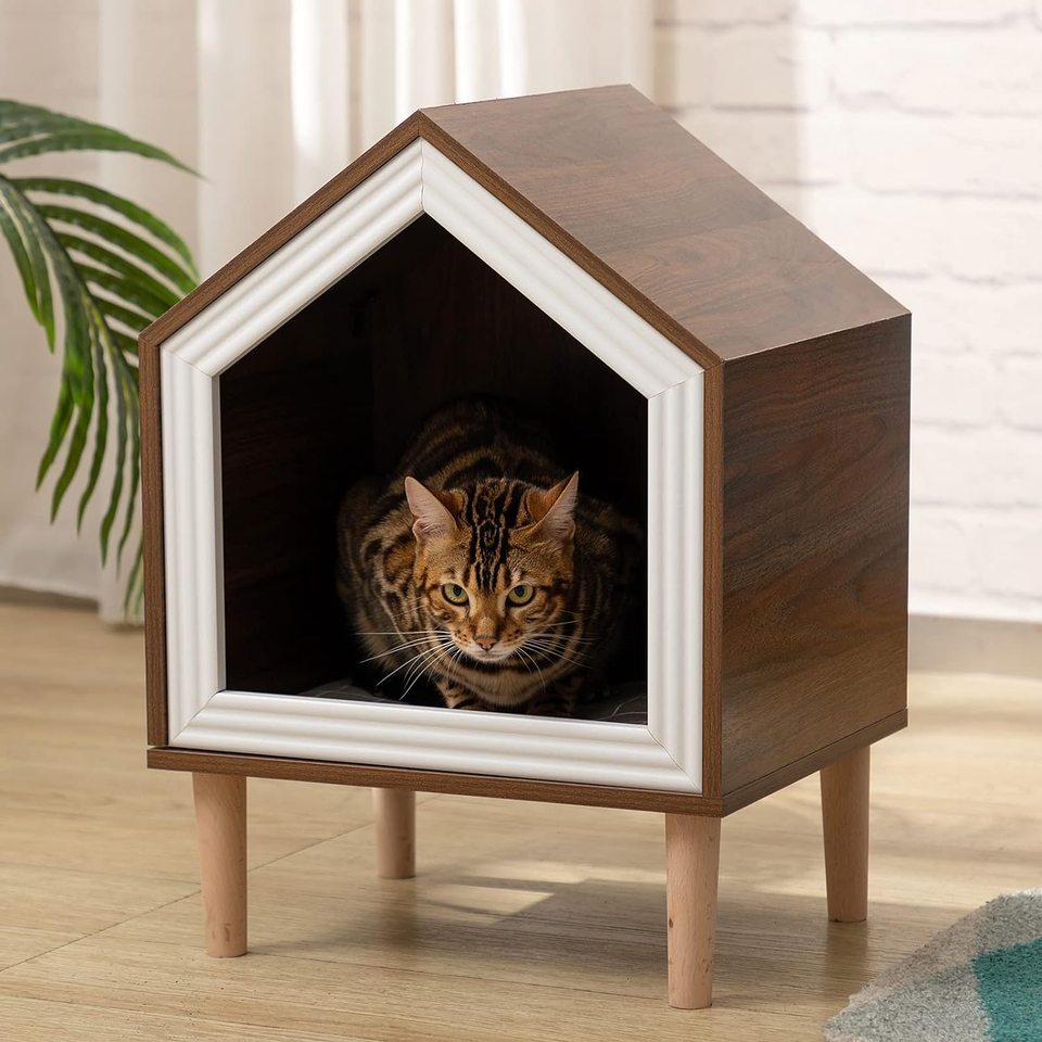 Modern Cat Furniture for Indoor and Outdoor, Wooden Structure Enclosed