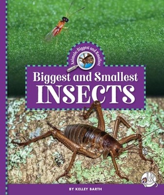Biggest and Smallest Insects by Kelley Barth Hardcover Book