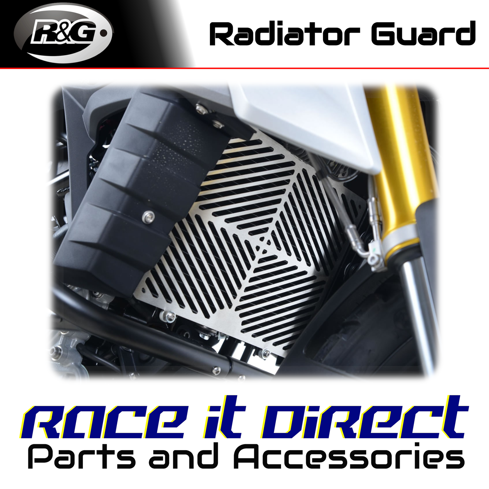 Stainless Radiator Guards for BMW G310R 2017-2025 R&G