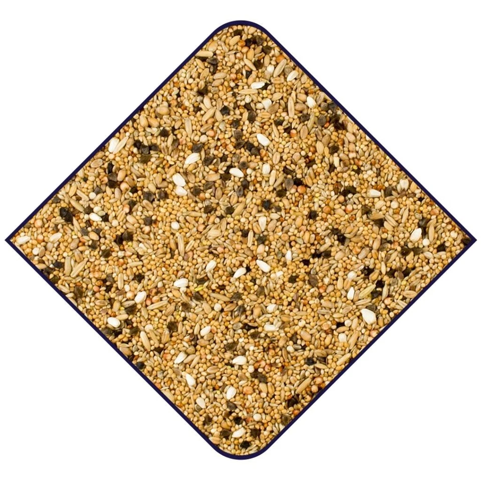 Witte Molen Großsittichfutter ohne Sonnenblumenkerne 3 kg Futter Nymphensittiche