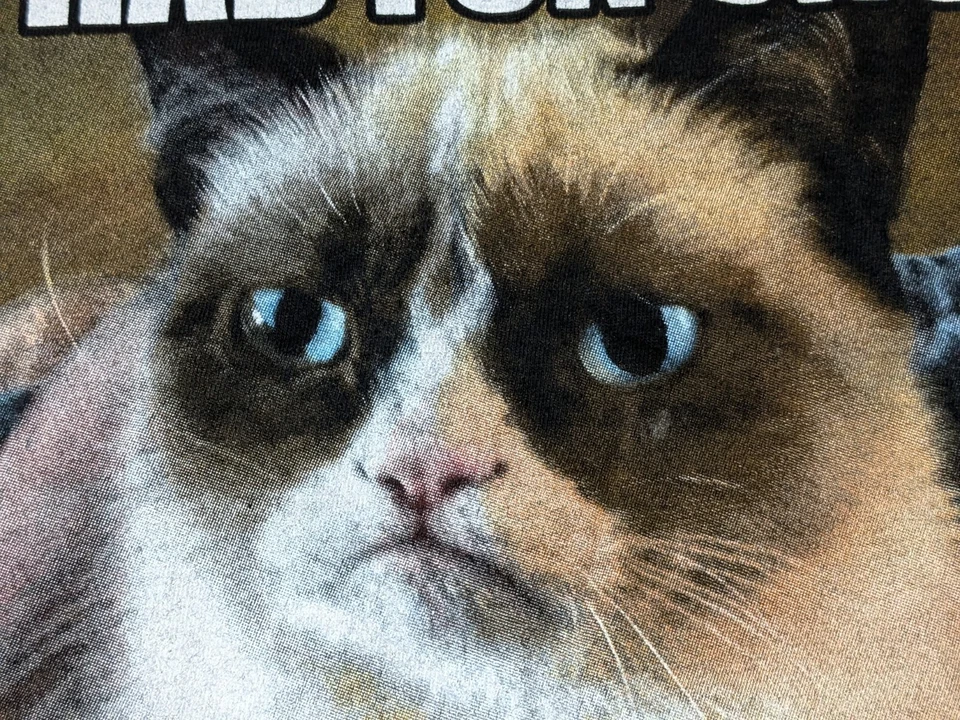 GRUMPY CAT - I HAD FUN ONCE IT WAS AWFUL Camiseta Gráfica Masculina GG Preta Algodão Excelente Estado Usado - Imagem 3 de 4