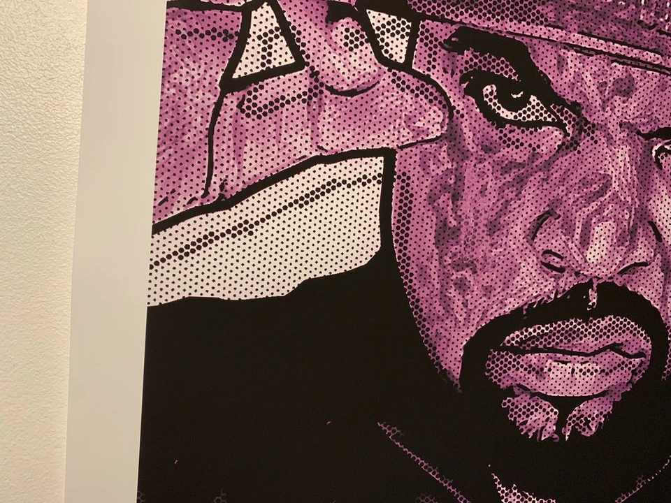 Chris Boyle Ice Cube Rap Icono Póster Arte Impreso LA EE. UU. Hip Hop 23/25 Foto 3 de 4