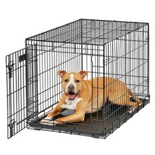 MidWest Homes for Pets 36-Inch LifeStages Crate for Medium-Large Breeds, 41-7...