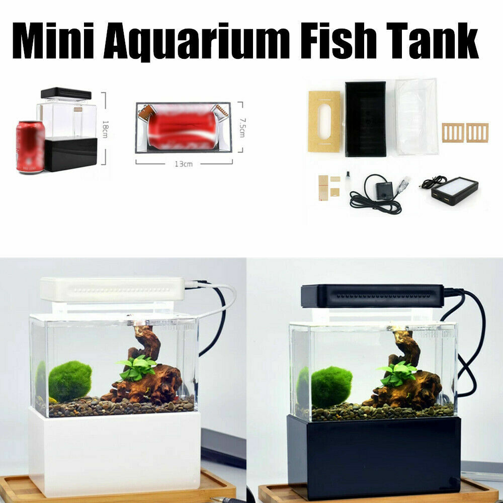 desktop fish tank with filter