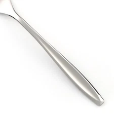 International Silver NEW DAWN Stainless Glossy Silverware CHOICE Flatware