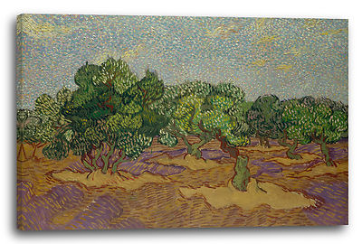 Lein-Wand-Bild Kunstdruck: Vincent Van Gogh Oliven-Bäume II 1889
