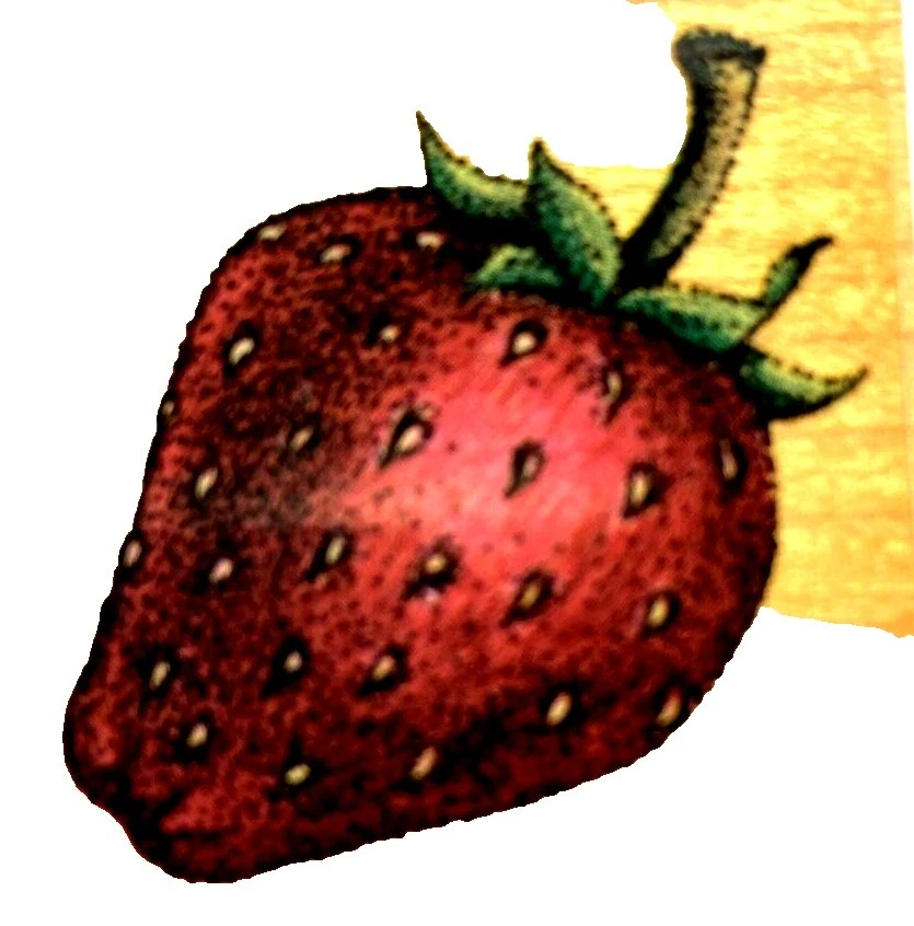 Food & Drink Rubber Craft Stamps