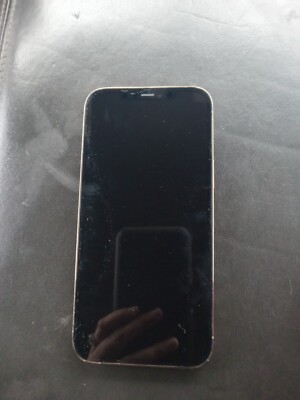 TikTok installed iPhone 12 Pro Max - 256 GB - (AT&T)