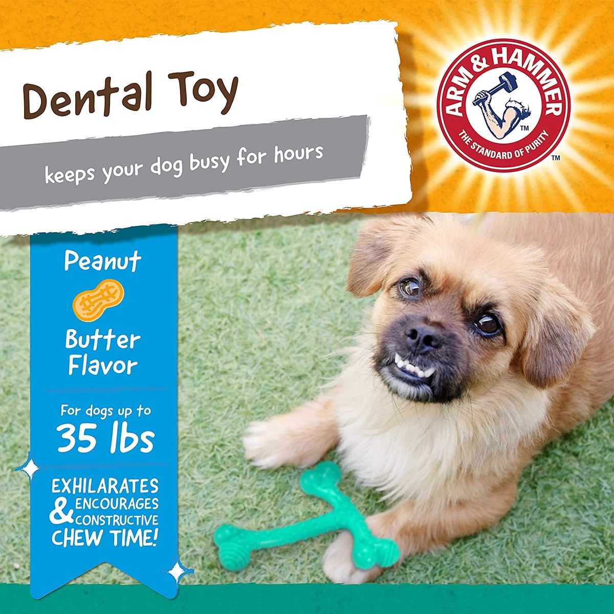 Arm & Hammer for Pets Nubbies Dental Toys - Chew Toy for Dogs, Nubbies Dog  Dental Toys - Best Dog Chew Toy, Dental Dog Toys, Arm and Hammer Nubbies  Toys for Dogs 