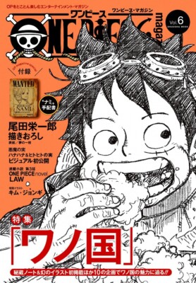 ONE PIECE Magazine Vol.6 Eiichiro Oda Anime Japan 2019 | eBay