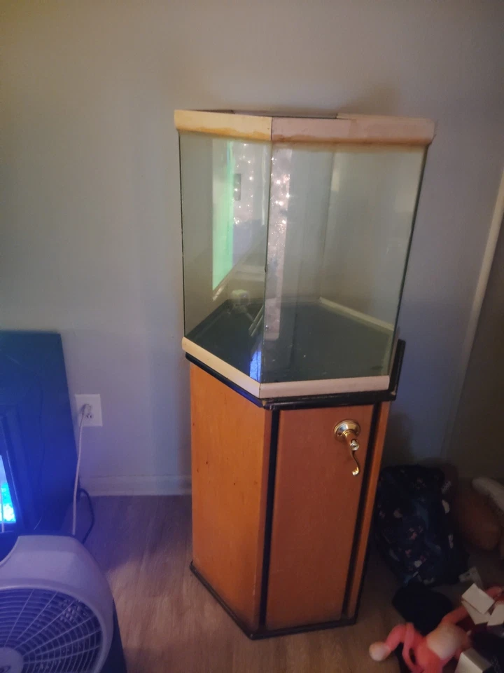  Tengo este y comida para peces y una bomba de agua quieren 250to300 para ambos  Foto 3 de 3