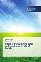 Sanket More (U. A.) | Effect Of Transplanting Dates And Mulching On Yield Of...