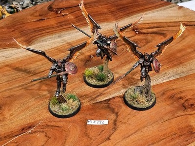 Warhammer Fantasy AOS Stormcast Eternals Prosecutors Well Painted x3 MX156