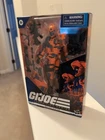 Hasbro G.I. Joe Classified Series Alley Viper Action Figure New In Box