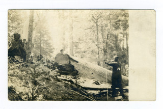 Trail Oregon Jackson Co autoritratto corda mentre segava albero cartolina RPPC