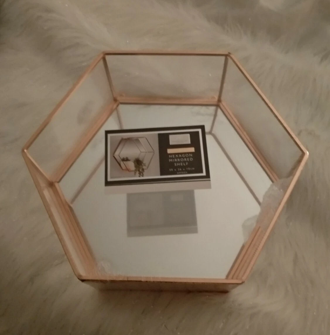 Picture 5 of 5